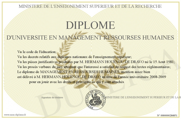 diplome universitaire management